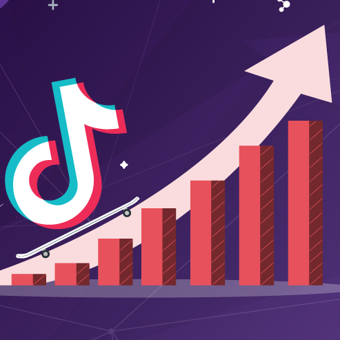 Getting the most out of the TikTok algorithm for growth